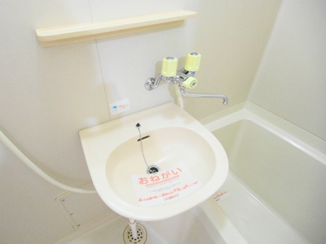 エルディム猫田の洗面所