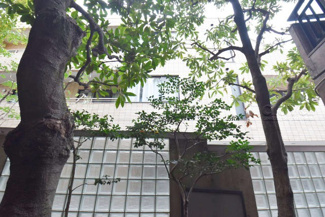 【展望】 | 専用庭からの眺望。～即日のご見学可能～　お問合せはお気軽にどうぞ。
