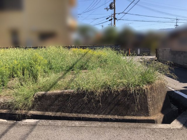 岩出市溝川・土地・56955の外観