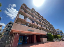 セザールお花茶屋の画像