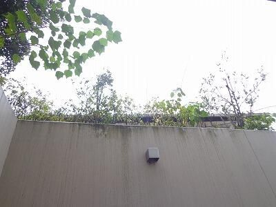 バレーヌ大森山王の展望