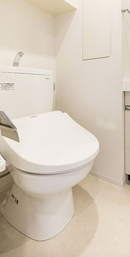 ライオンズフォーシア五反田のトイレ