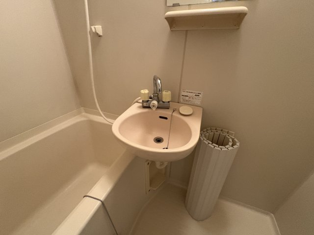 西舞子グリーンハウスの洗面所