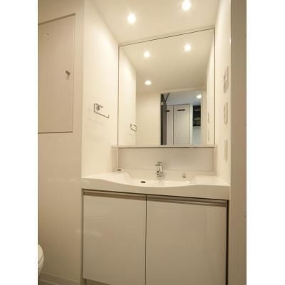 パークアクシス文京ステージの洗面所