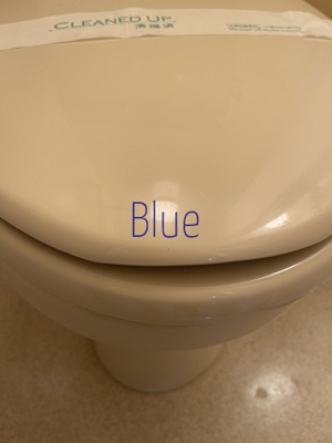 【トイレ】 | ロイヤル内田 | 同じ仕様