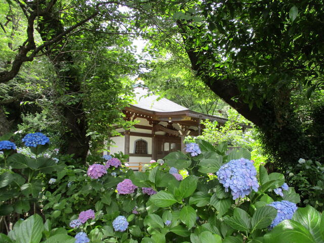 川崎市多摩区東生田２丁目の賃貸マンションの外観パース