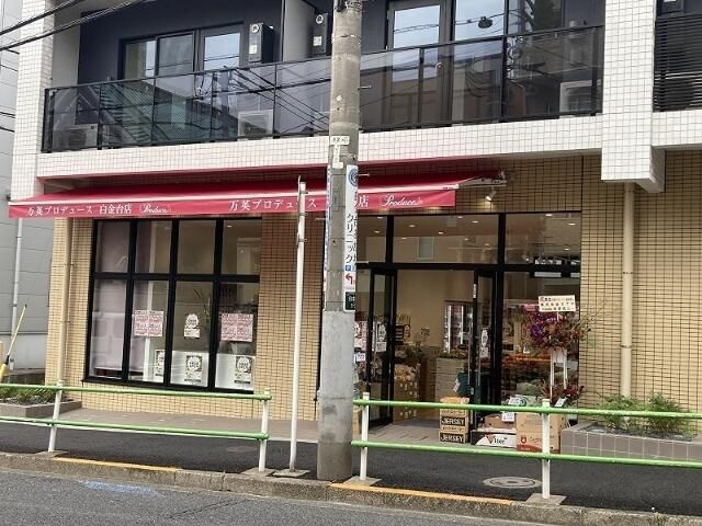 コンフォートサウス白金台のその他