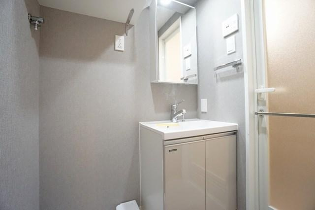 ALTERNA菊川Ⅱの洗面所