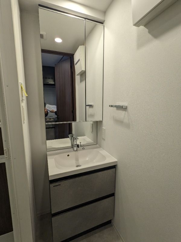 プロスタイルウェルス豊洲イーストの独立洗面台