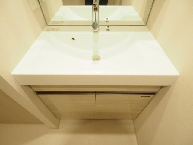 アーバネックス南品川Ⅱの洗面所