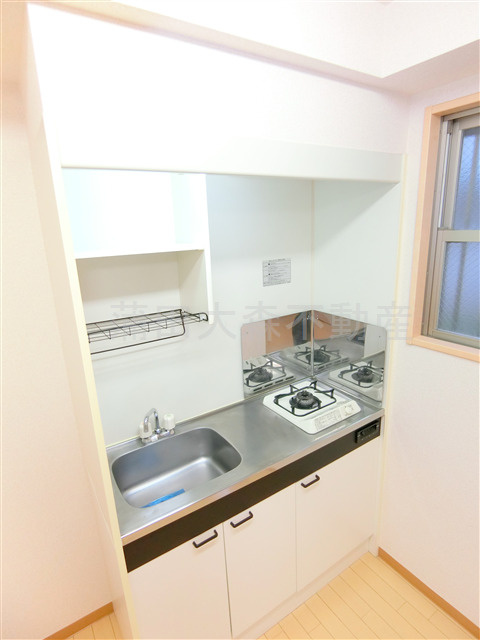 第一デュオレスズエのキッチン