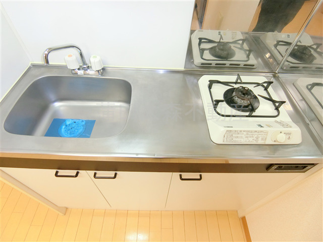 第一デュオレスズエのキッチン