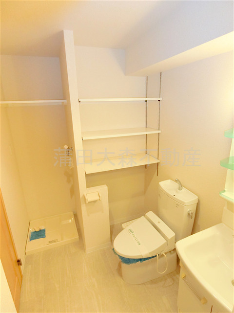 第一デュオレスズエの洗面所