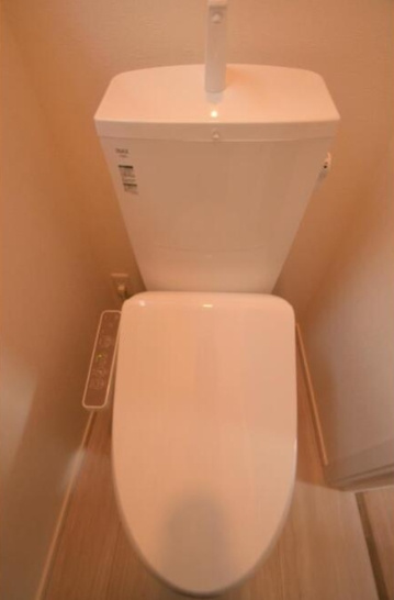 岩蓮華のトイレ