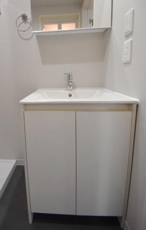 エルシーク大宮(エルシークオオミヤ)の独立洗面台