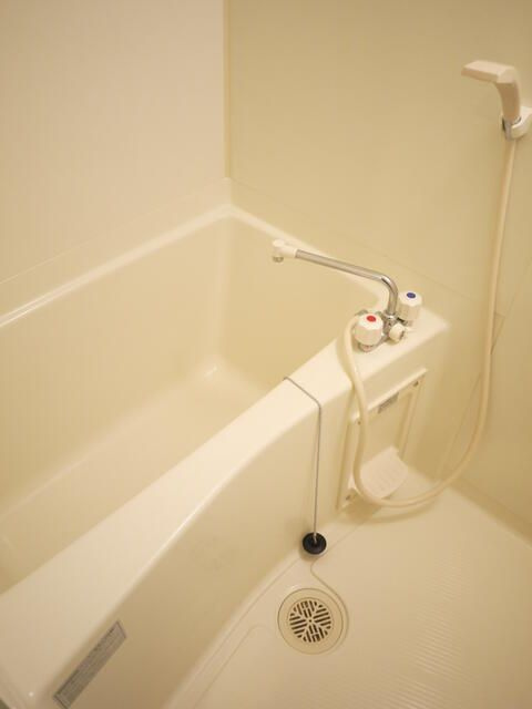 アクシーズグランデ高鼻町の浴室