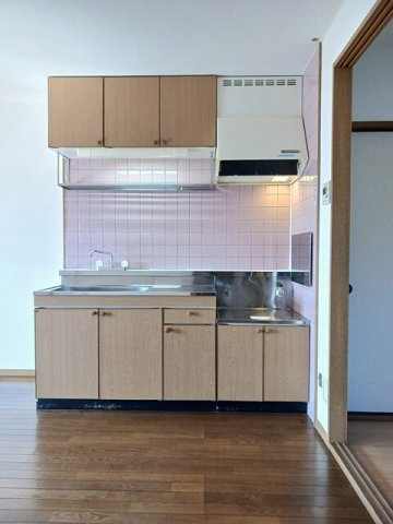 ニューマリッチイシカワ弐号館のキッチン