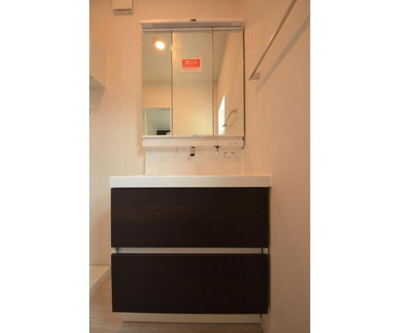 【洗面所】 | 岩蓮華