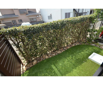 【庭】 | 岩蓮華