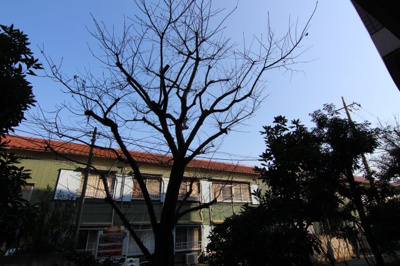 【展望】 | アビタシオン祗園 | 他のお部屋の参考写真となります。