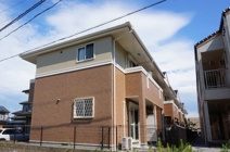 サウス　メディオの画像