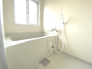 遠野市松崎町白岩の一戸建ての浴室