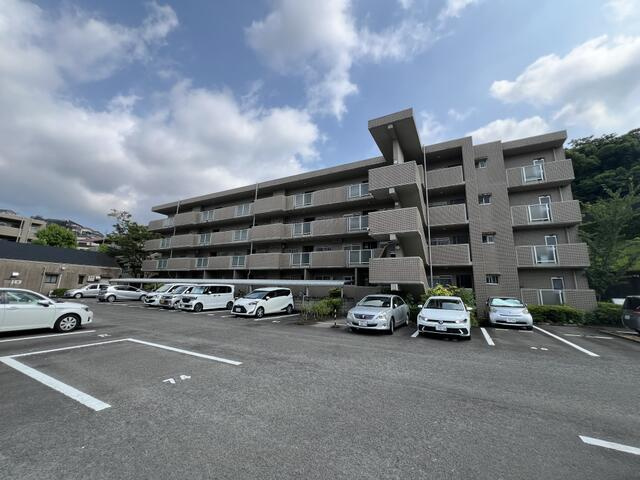 サーパスセイリョウの画像