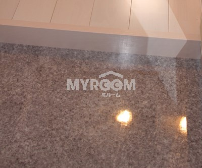 【玄関】 | ハーモニーテラス桜台ＩＶ(ハーモニーテラスサクラダイフォー) | 玄関（同一仕様写真）