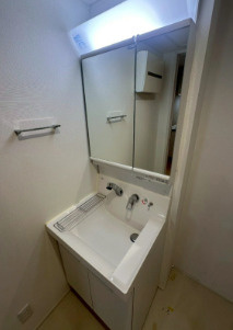 ビューノ上池袋の洗面所