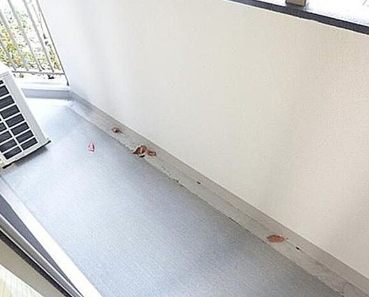 墨田区向島２丁目の賃貸マンションのバルコニー