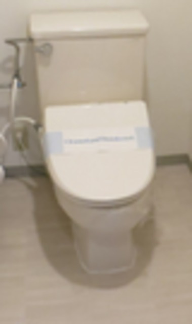 サウスポート品川レジデンスのトイレ