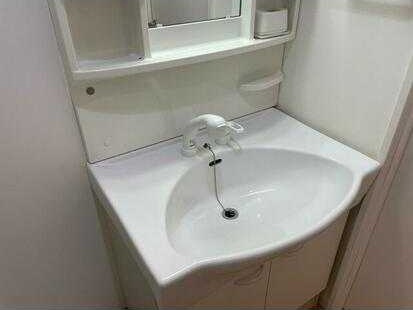 ビッグ武蔵野田無６８の洗面所