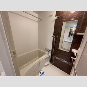 スカイコートグランデ清澄白河の浴室