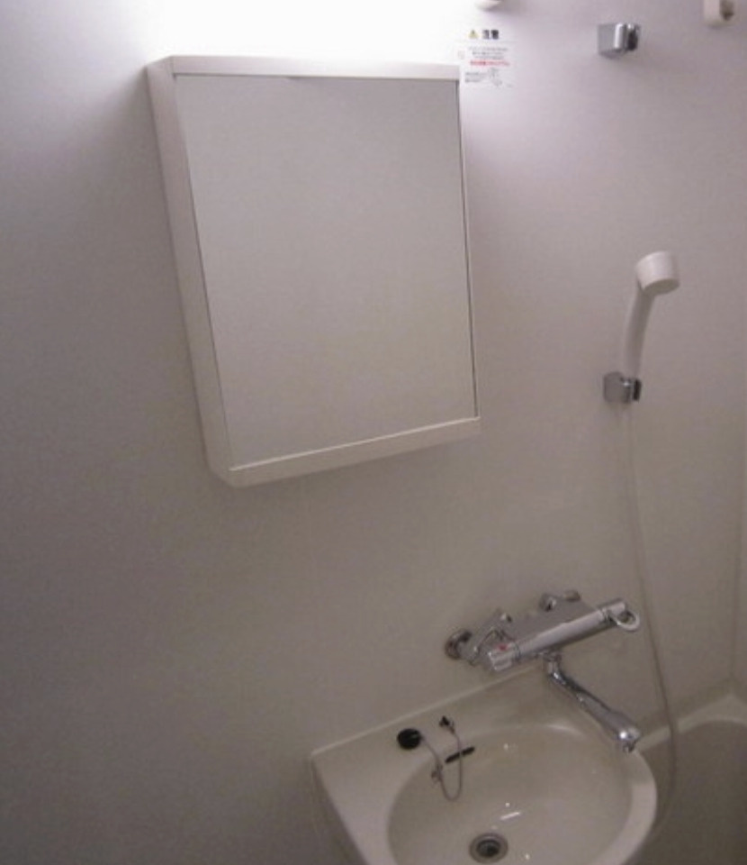 エコロジー東陽町プロセンチュリーの洗面所