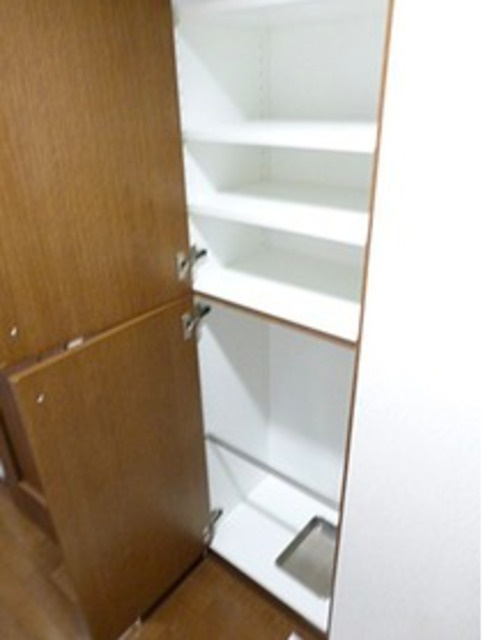 港区芝浦３丁目の賃貸マンションの収納