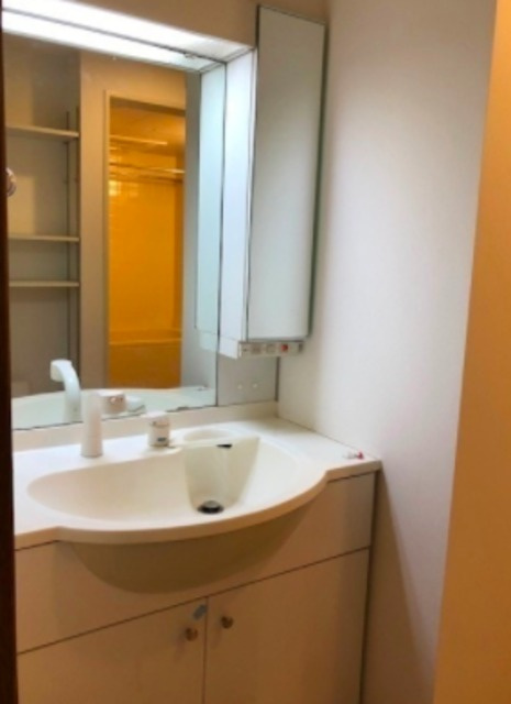 港区芝浦３丁目の賃貸マンションの洗面所