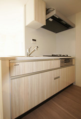 台東区東上野６丁目の賃貸マンションのキッチン