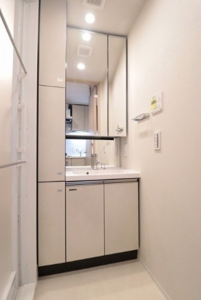 品川区戸越１丁目の賃貸マンションの独立洗面台