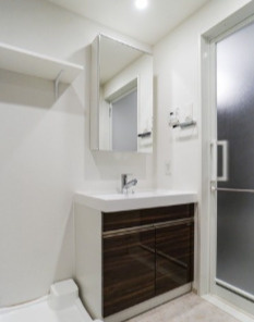 台東区下谷３丁目の賃貸マンションの独立洗面台