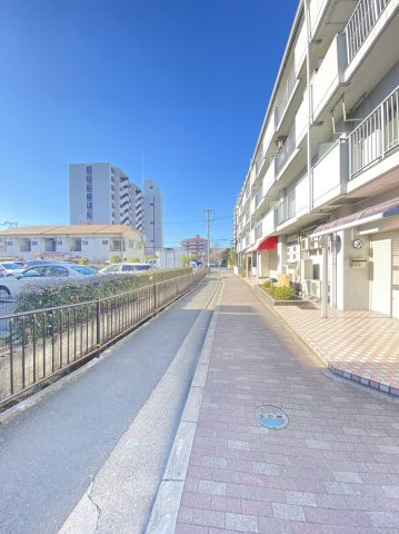 パロス沢良宜の周辺