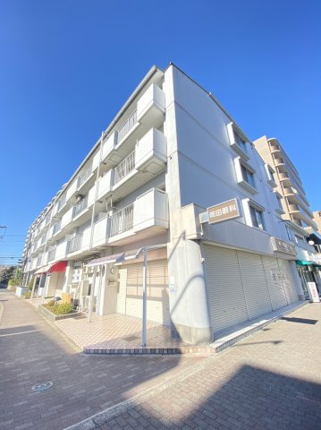 パロス沢良宜の外観