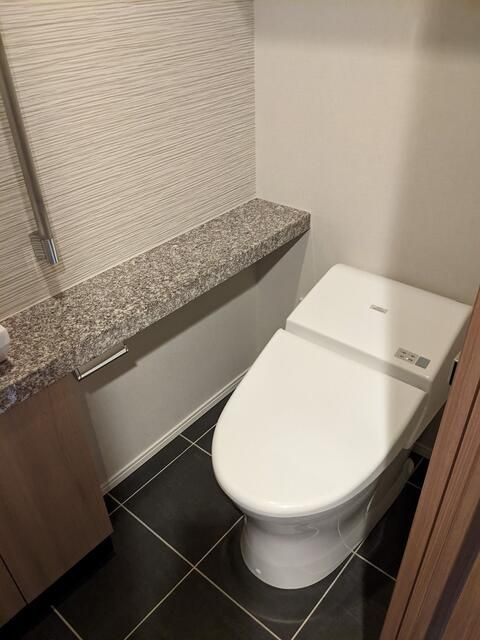 ザ・パークハウス赤坂レジデンスのトイレ