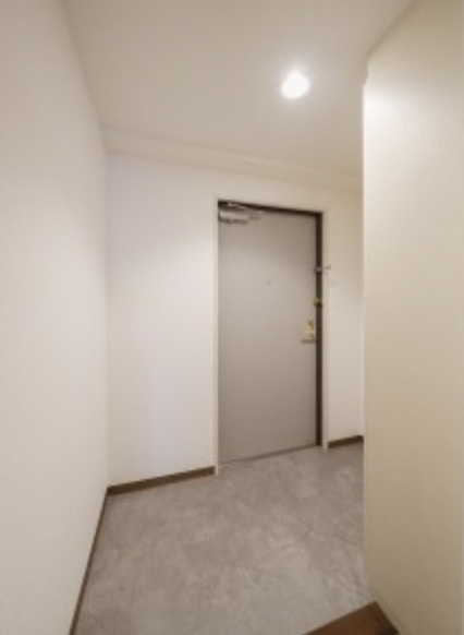 品川区上大崎３丁目の賃貸マンションの玄関