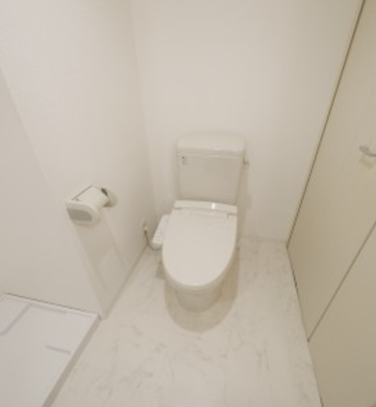 品川区上大崎３丁目の賃貸マンションのトイレ