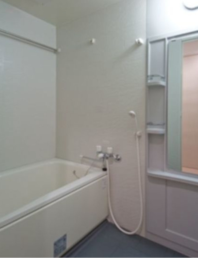 ＲＥＳＩＤＥＮＣＥ　ＳＡＴＳＵＭＡの浴室