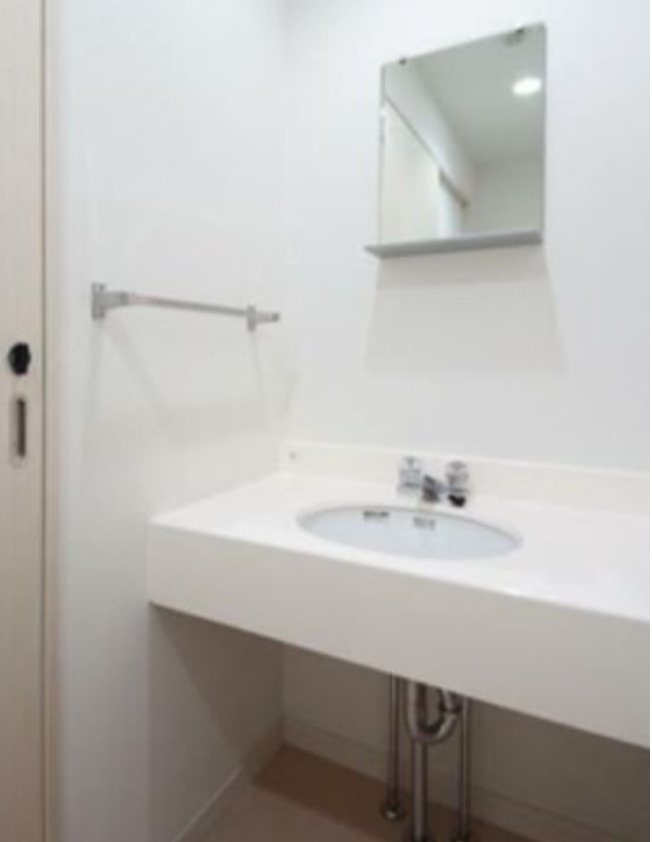 ＲＥＳＩＤＥＮＣＥ　ＳＡＴＳＵＭＡの洗面所