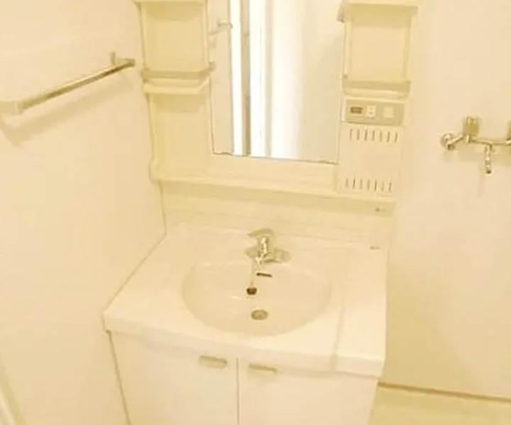 アイル３１３の洗面所