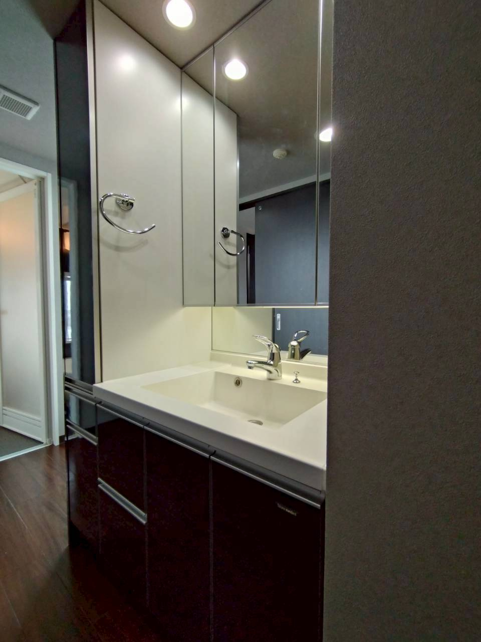 アステリオ北堀江ザ・メトロタワーの洗面所