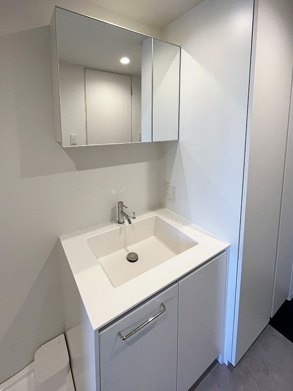 中野区大和町１丁目の賃貸マンションの洗面所