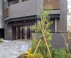 ﾃﾞｨｰﾑｽ上野のエントランス